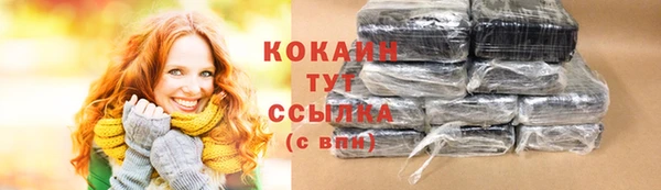 кокс Бородино