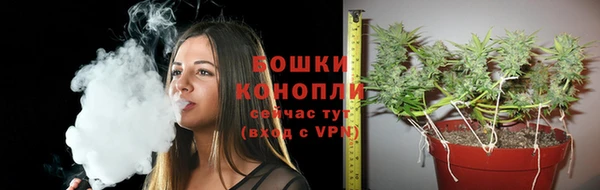 кокс Бородино